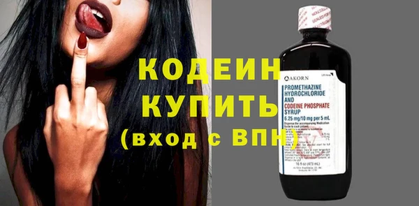 крисы Лагань