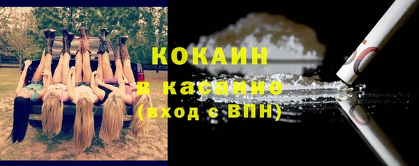 крисы Лагань