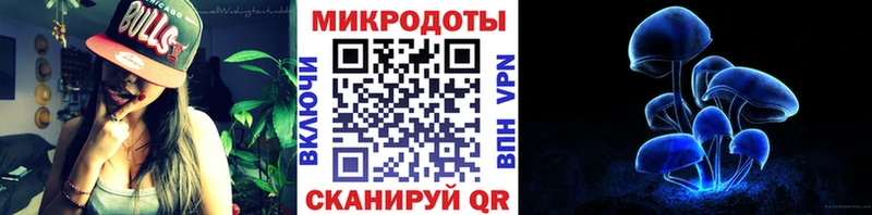 Псилоцибиновые грибы мицелий Дегтярск