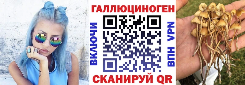 Галлюциногенные грибы Psilocybine cubensis  Купить закладки  Дегтярск 
