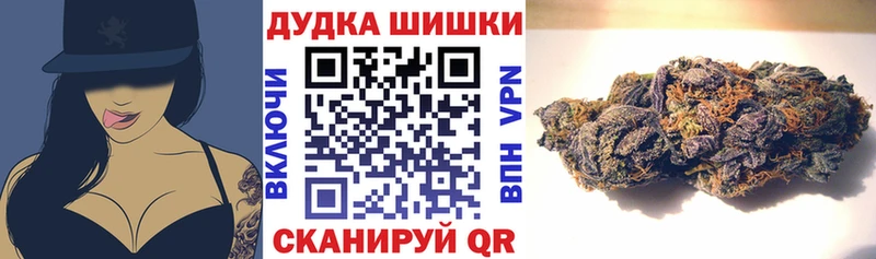 Купить закладки  Дегтярск  Канабис план 